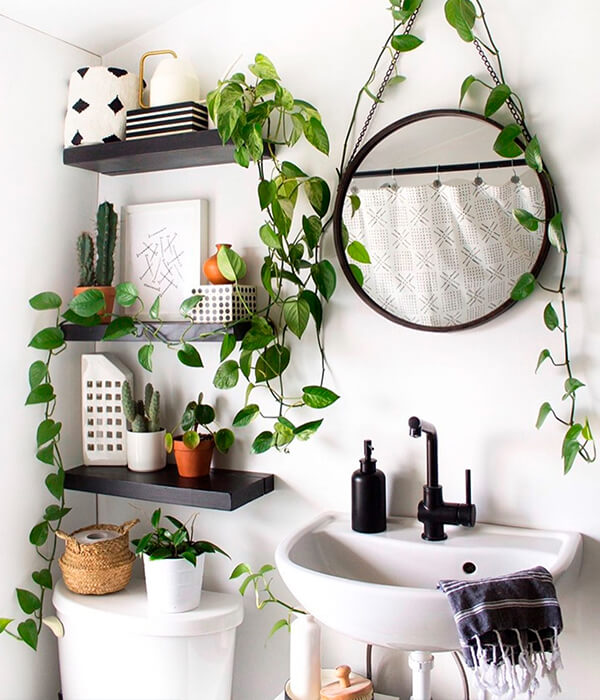 organizar e decorar banheiro